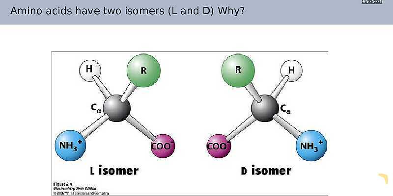 Understanding Amino Acids | As & A Level Chemistry 9701 pptx- پیش نمایش