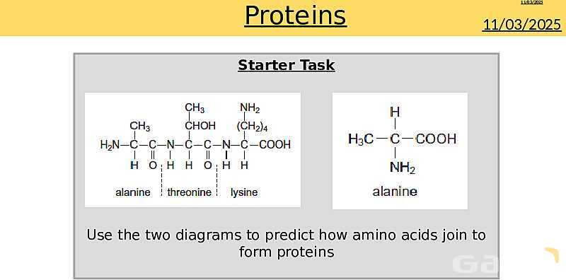 Proteins Structure, Bonding, and Functions | As & A Level Chemistry 9701 pptx- پیش نمایش