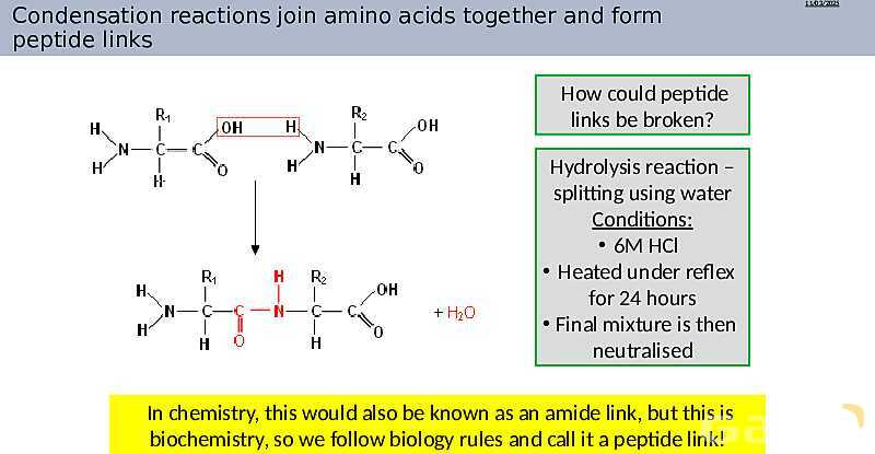 Proteins Structure, Bonding, and Functions | As & A Level Chemistry 9701 pptx- پیش نمایش