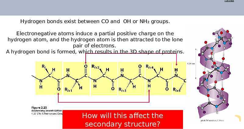 Proteins Structure, Bonding, and Functions | As & A Level Chemistry 9701 pptx- پیش نمایش