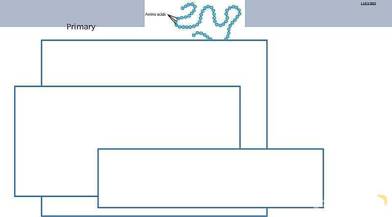 Proteins Structure, Bonding, and Functions | As & A Level Chemistry 9701 pptx- پیش نمایش