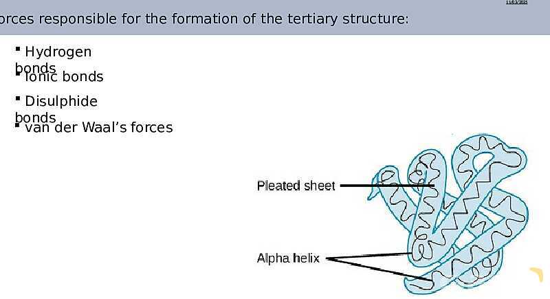 Proteins Structure, Bonding, and Functions | As & A Level Chemistry 9701 pptx- پیش نمایش