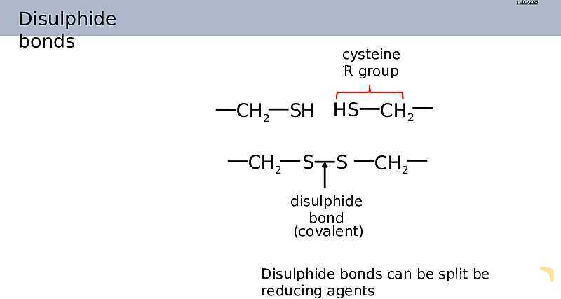 Proteins Structure, Bonding, and Functions | As & A Level Chemistry 9701 pptx- پیش نمایش