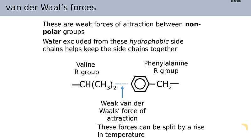 Proteins Structure, Bonding, and Functions | As & A Level Chemistry 9701 pptx- پیش نمایش