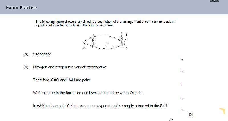 Proteins Structure, Bonding, and Functions | As & A Level Chemistry 9701 pptx- پیش نمایش