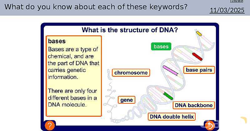 DNA Structure, Nucleotides, and Base Pairing | As & A Level Chemistry 9701 PowerPoint- پیش نمایش