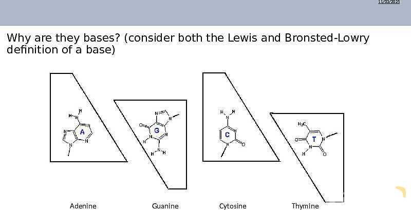 DNA Structure, Nucleotides, and Base Pairing | As & A Level Chemistry 9701 PowerPoint- پیش نمایش