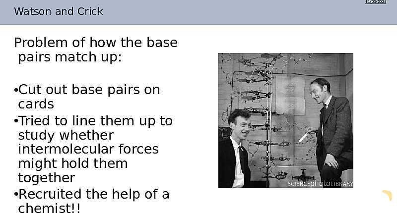 DNA Structure, Nucleotides, and Base Pairing | As & A Level Chemistry 9701 PowerPoint- پیش نمایش