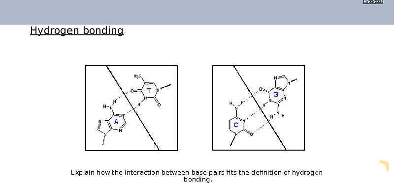 DNA Structure, Nucleotides, and Base Pairing | As & A Level Chemistry 9701 PowerPoint- پیش نمایش