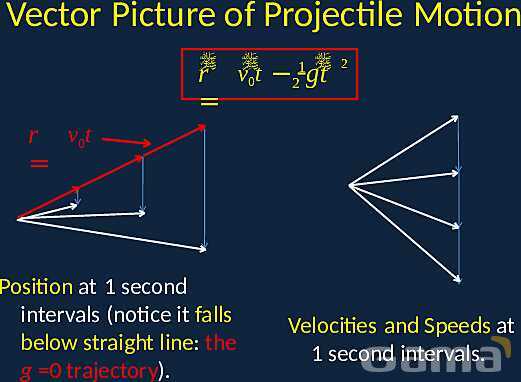 Mastering Projectile Motion: The Science Behind Ballistics & Free Flight- پیش نمایش