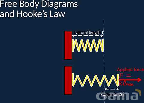 Statics and Hooke’s Law: Understanding Equilibrium and Material Behavior Under Tension- پیش نمایش