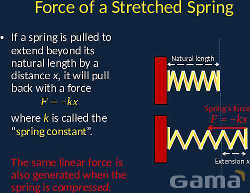 Exploring Simple Harmonic Motion: Springs, Pendulums, and Energy Dynamics- پیش نمایش