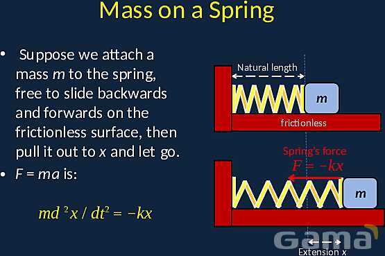 Exploring Simple Harmonic Motion: Springs, Pendulums, and Energy Dynamics- پیش نمایش