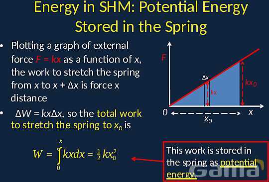 Exploring Simple Harmonic Motion: Springs, Pendulums, and Energy Dynamics- پیش نمایش