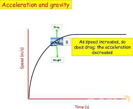 Understanding Speed, Velocity, and Acceleration: Physics Essentials for Students and Educators- پیش نمایش