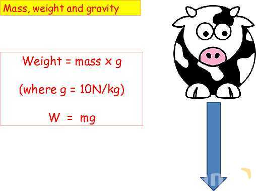 Mass vs. Weight: Key Physics Concepts Explained with Real-World Examples- پیش نمایش