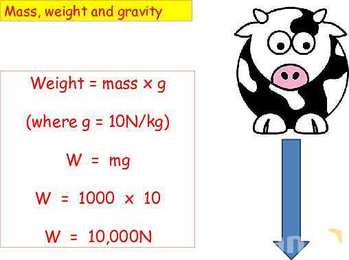 Mass vs. Weight: Key Physics Concepts Explained with Real-World Examples- پیش نمایش