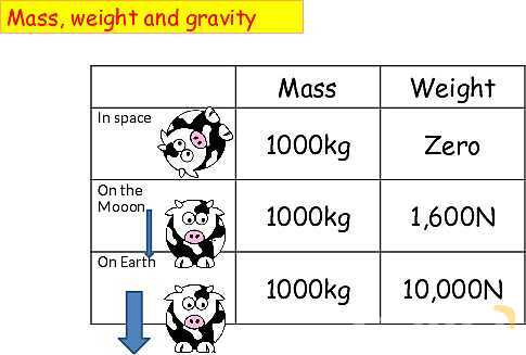 Mass vs. Weight: Key Physics Concepts Explained with Real-World Examples- پیش نمایش