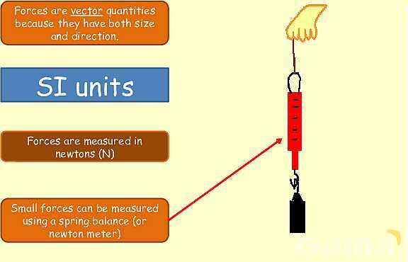 Forces in Physics: Understanding Motion, Friction, and Hooke′s Law- پیش نمایش