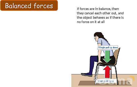 Forces in Physics: Understanding Motion, Friction, and Hooke′s Law- پیش نمایش