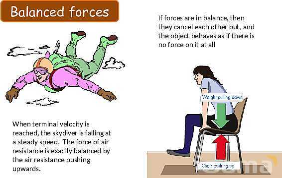 Forces in Physics: Understanding Motion, Friction, and Hooke′s Law- پیش نمایش