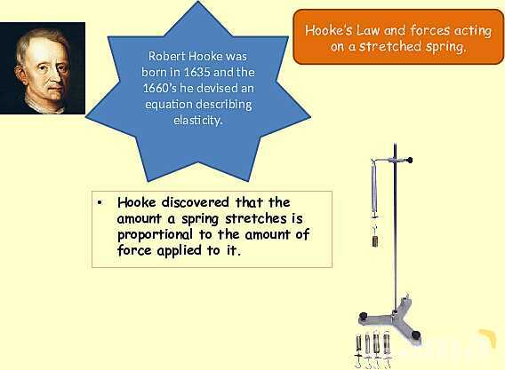 Forces in Physics: Understanding Motion, Friction, and Hooke′s Law- پیش نمایش