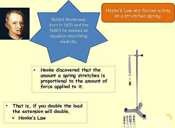 Forces in Physics: Understanding Motion, Friction, and Hooke′s Law- پیش نمایش