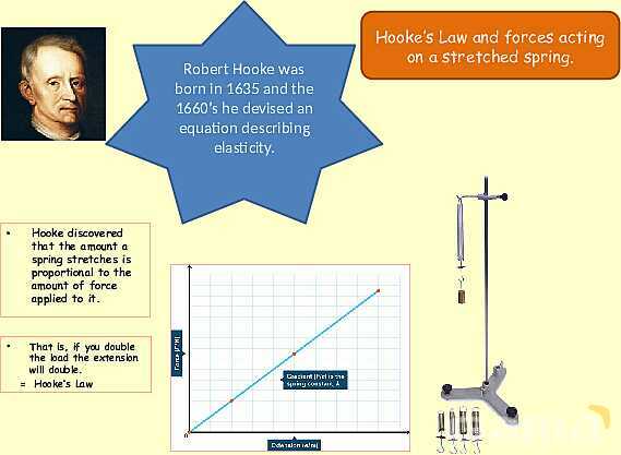 Forces in Physics: Understanding Motion, Friction, and Hooke′s Law- پیش نمایش