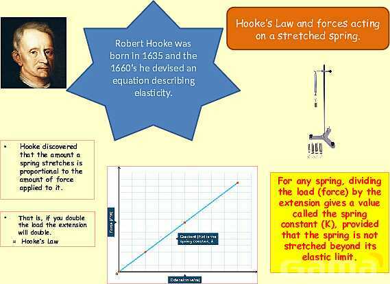 Forces in Physics: Understanding Motion, Friction, and Hooke′s Law- پیش نمایش