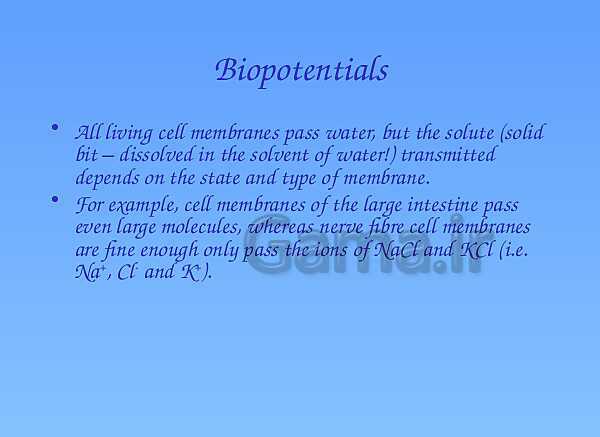 A Level Physics PowerPoint Presentation | action potential- پیش نمایش