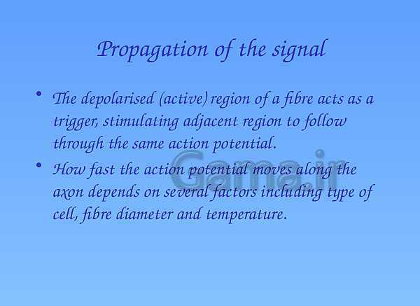 A Level Physics PowerPoint Presentation | action potential- پیش نمایش