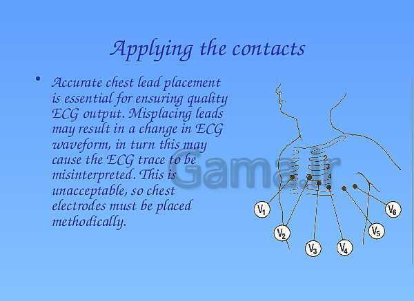 A Level Physics PowerPoint Presentation | action potential- پیش نمایش