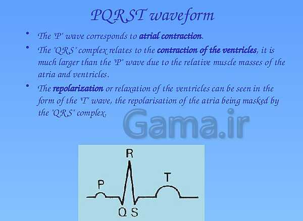 A Level Physics PowerPoint Presentation | action potential- پیش نمایش