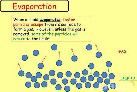 Free Physics PPT: Kinetic Molecular Theory, Evaporation & Gas Laws Explained- پیش نمایش