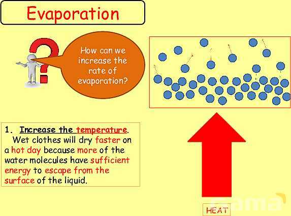 Free Physics PPT: Kinetic Molecular Theory, Evaporation & Gas Laws Explained- پیش نمایش