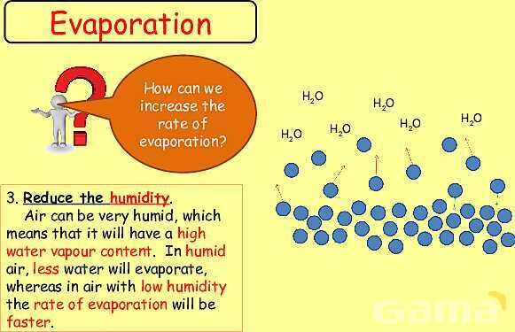 Free Physics PPT: Kinetic Molecular Theory, Evaporation & Gas Laws Explained- پیش نمایش