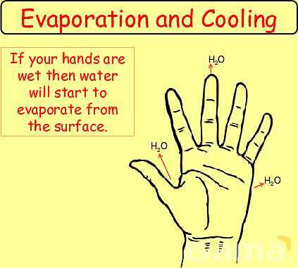 Free Physics PPT: Kinetic Molecular Theory, Evaporation & Gas Laws Explained- پیش نمایش