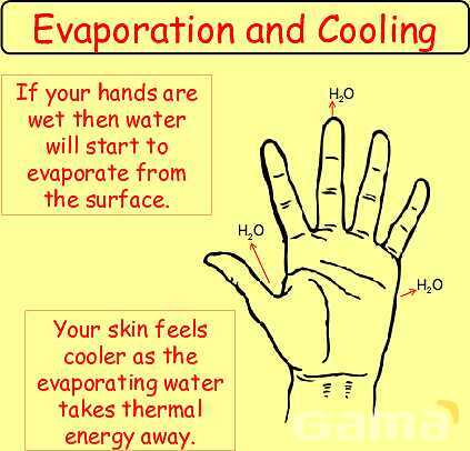 Free Physics PPT: Kinetic Molecular Theory, Evaporation & Gas Laws Explained- پیش نمایش