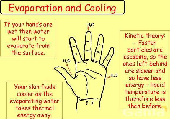 Free Physics PPT: Kinetic Molecular Theory, Evaporation & Gas Laws Explained- پیش نمایش