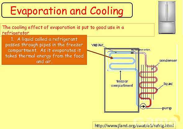 Free Physics PPT: Kinetic Molecular Theory, Evaporation & Gas Laws Explained- پیش نمایش