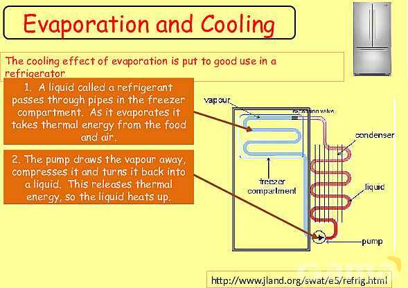 Free Physics PPT: Kinetic Molecular Theory, Evaporation & Gas Laws Explained- پیش نمایش