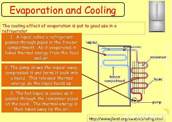 Free Physics PPT: Kinetic Molecular Theory, Evaporation & Gas Laws Explained- پیش نمایش