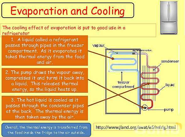 Free Physics PPT: Kinetic Molecular Theory, Evaporation & Gas Laws Explained- پیش نمایش